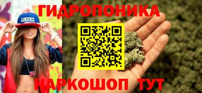 твердый Шелехов
